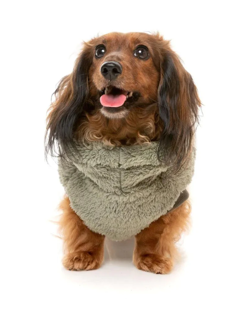 Turtle Teddy Dog Fleece in Rosemary (FINAL SALE) - Image 3