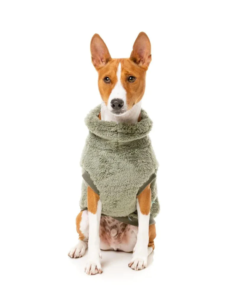 Turtle Teddy Dog Fleece in Rosemary (FINAL SALE) - Image 7