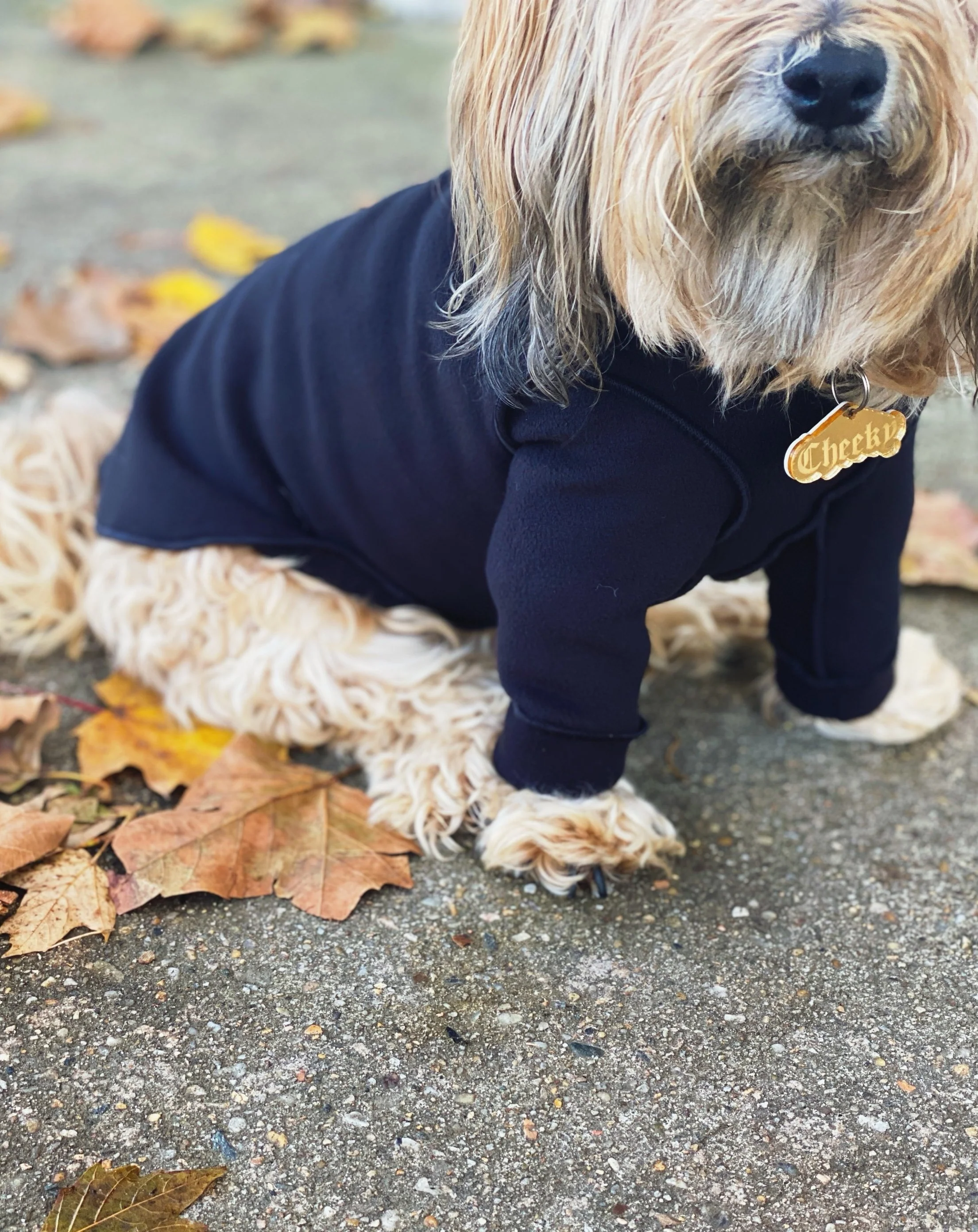Long-Sleeve Pullover Stretch Dog Fleece in Black (Made in the USA, Dog & Co. Exclusive!) - Image 5