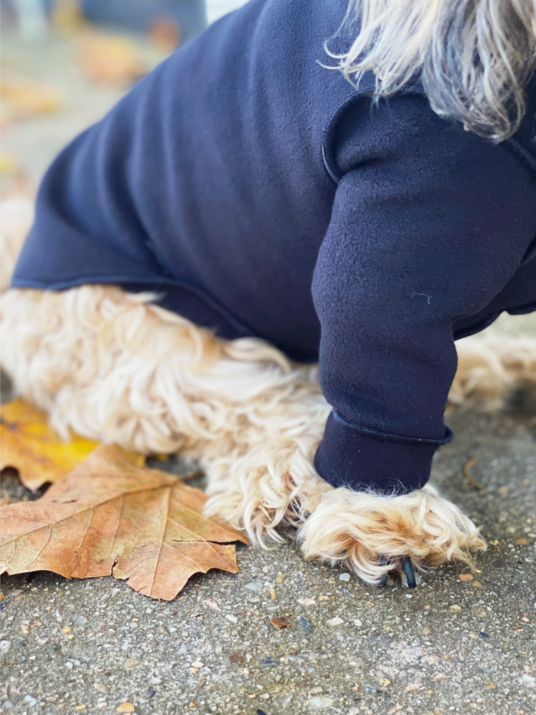 Long-Sleeve Pullover Stretch Dog Fleece in Black (Made in the USA, Dog & Co. Exclusive!) - Image 6