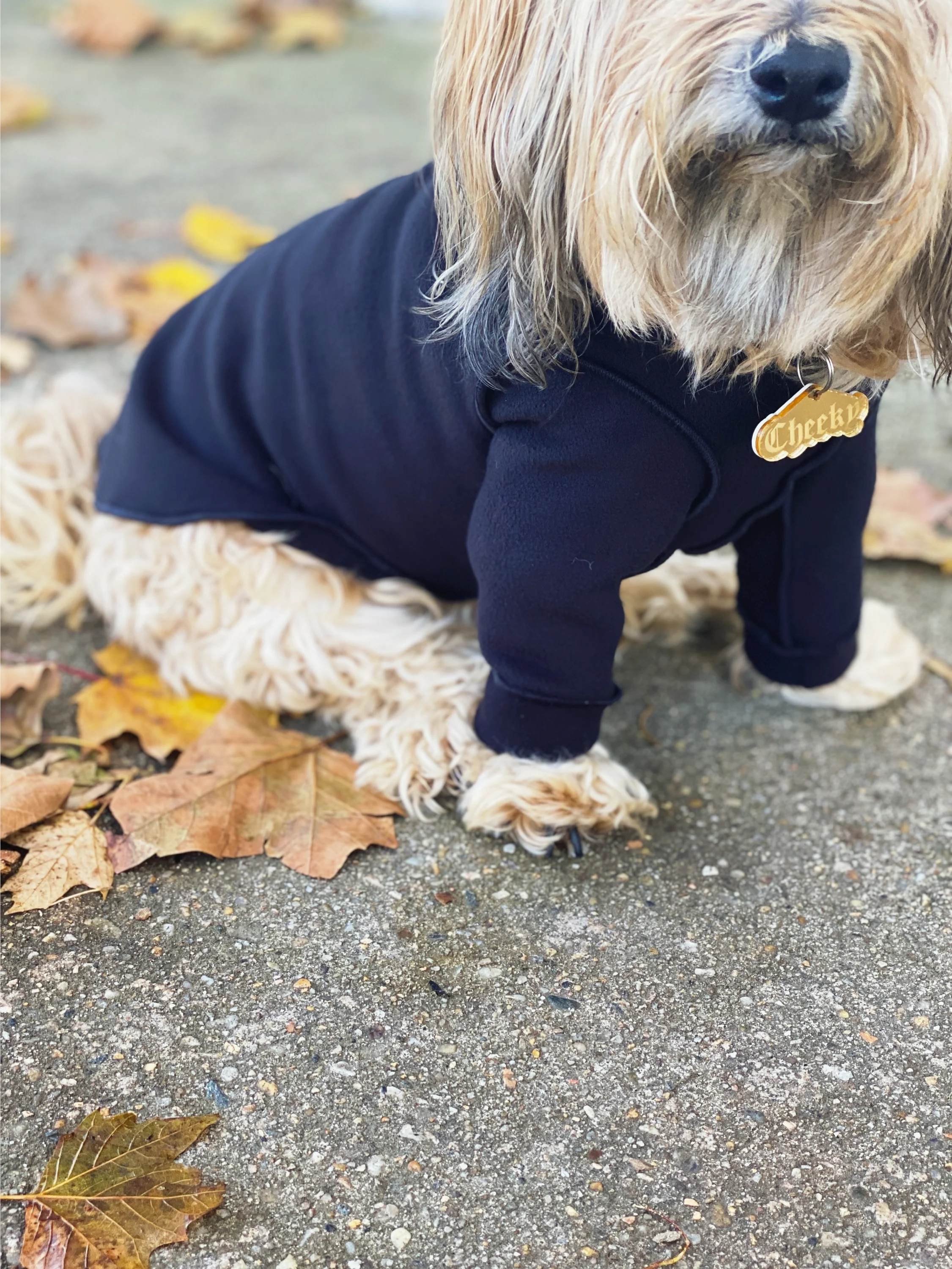 Long-Sleeve Pullover Stretch Dog Fleece in Black (Made in the USA, Dog & Co. Exclusive!) - Image 7