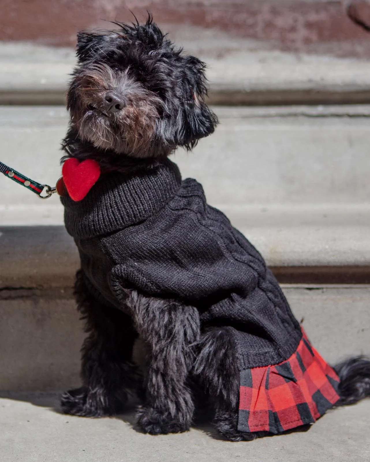 Turtleneck Sweater Dress for Dogs - Image 2