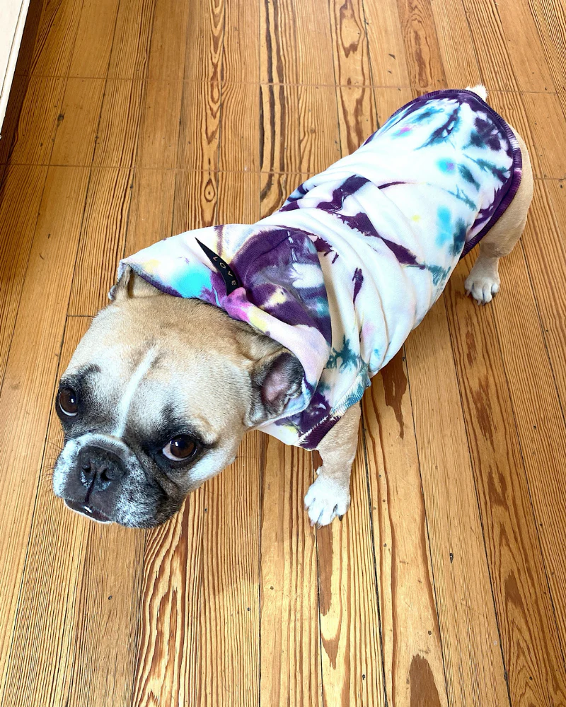 Studio Splatter Dog Sweatshirt in TV Screen (FINAL SALE) - Image 9