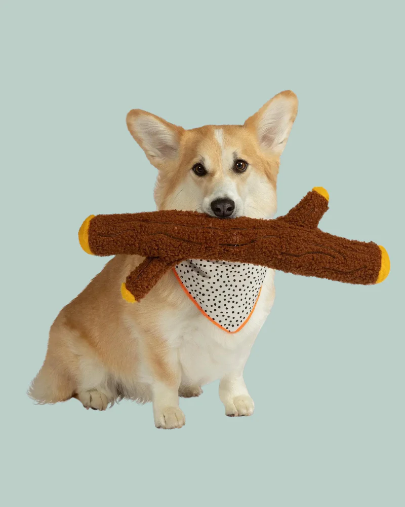 Twiggy Plush Squeaky Dog Toy - Image 2