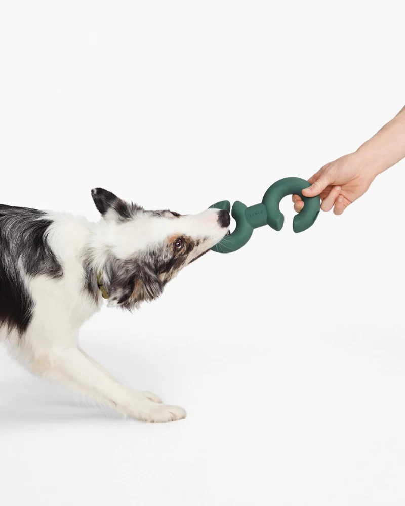 Twin Falcon Interactive Dog Toy - Image 2