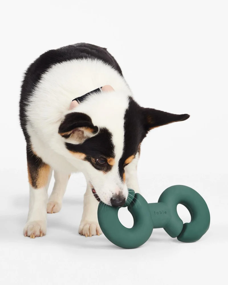 Twin Falcon Interactive Dog Toy - Image 6