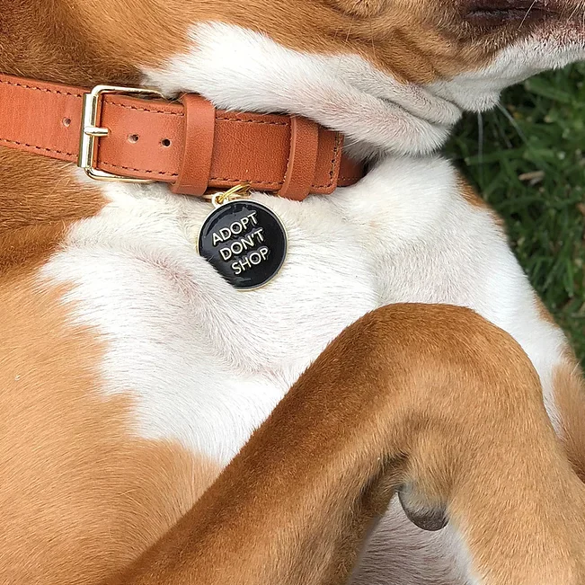 Adopt Don't Shop ID Tag (Custom) - Image 3