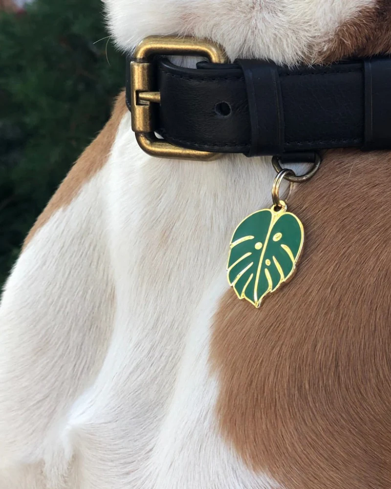 Monstera Deliciosa ID Tag (Custom/Drop-Ship) - Image 5