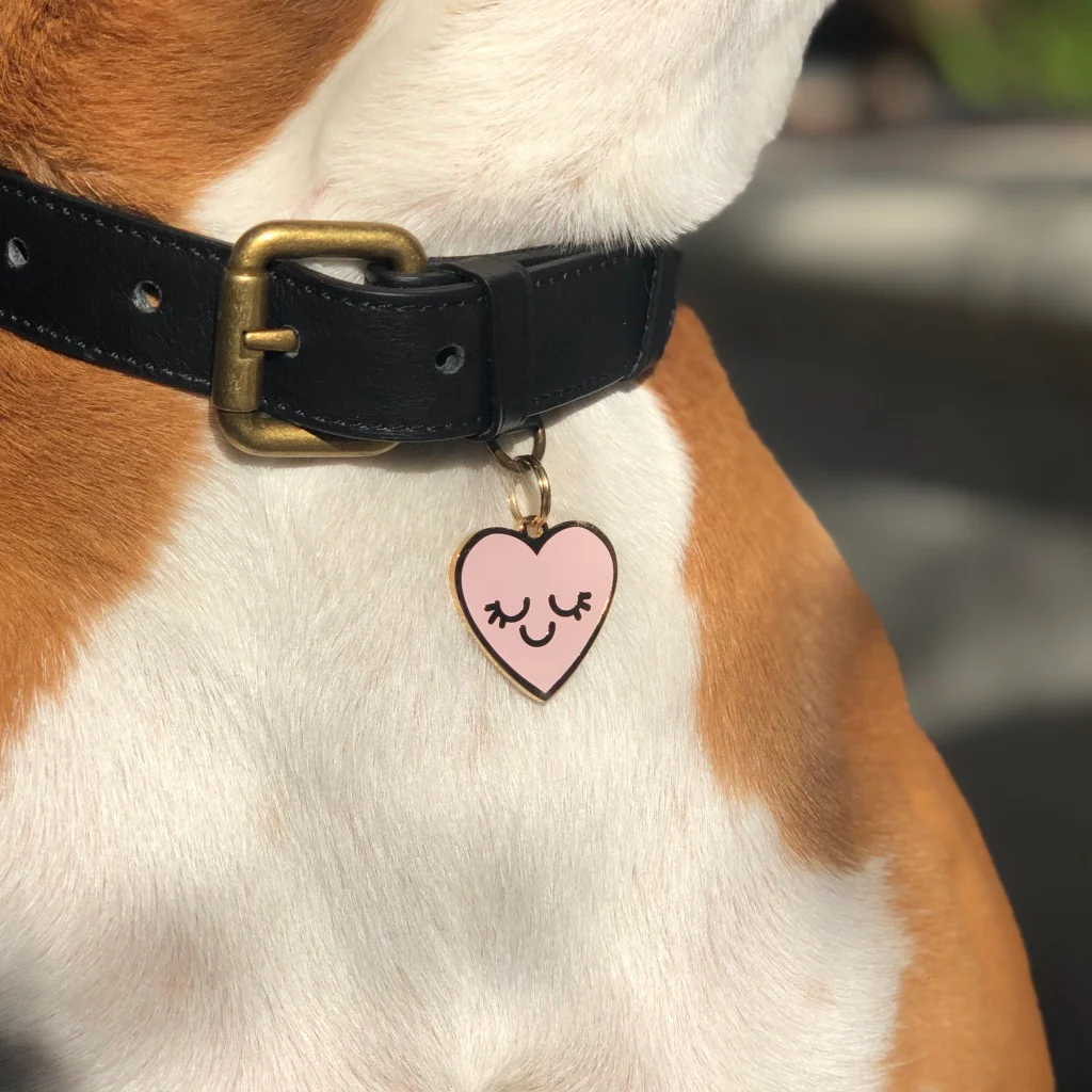 Smiling Heart ID Tag (Custom) - Image 2