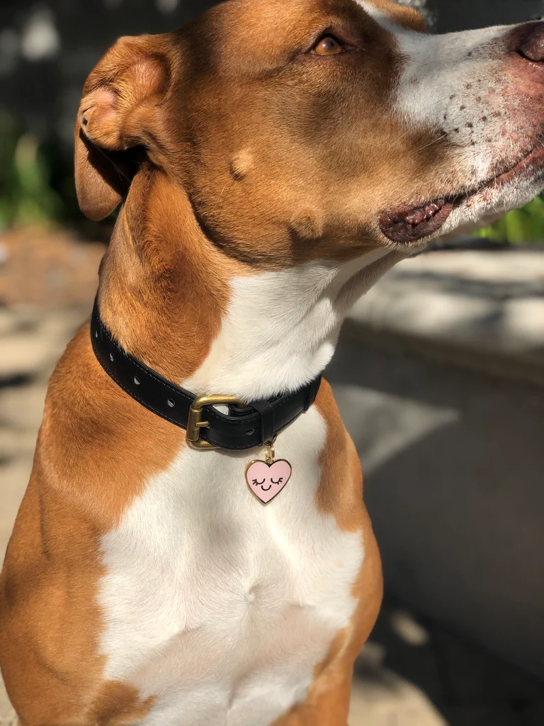Smiling Heart ID Tag (Custom) - Image 3