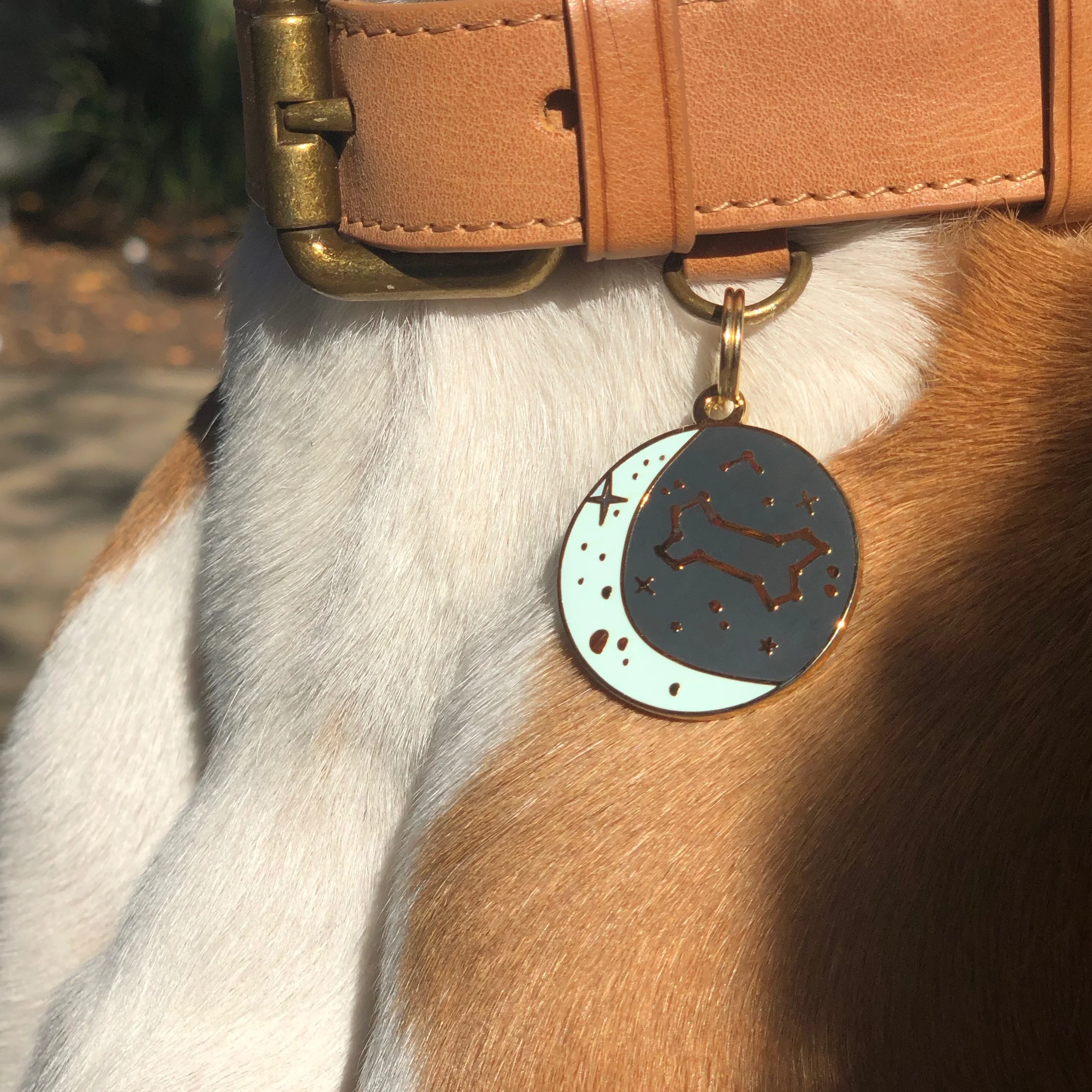 Zodiac ID Tag (Custom) - Image 2