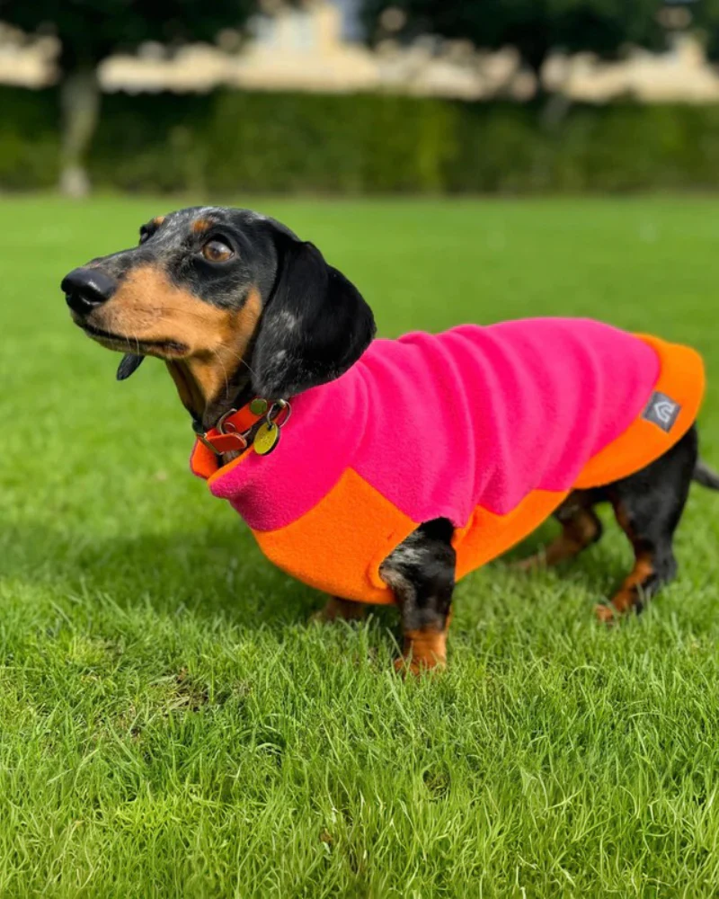 Two-Tone Dog Fleece Jumper (Made in the UK) - Image 5