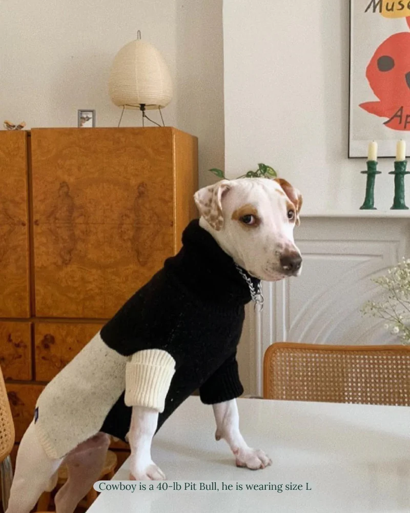 U + Me Dog Sweater (FINAL SALE) - Image 5