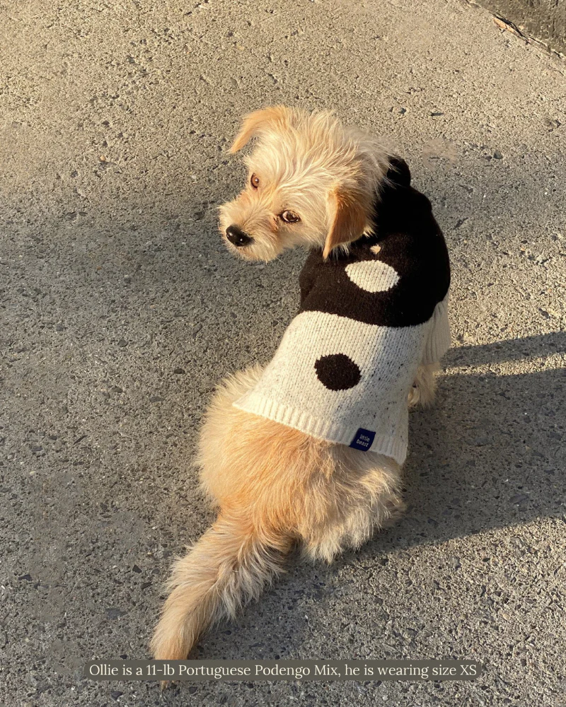 U + Me Dog Sweater (FINAL SALE) - Image 6