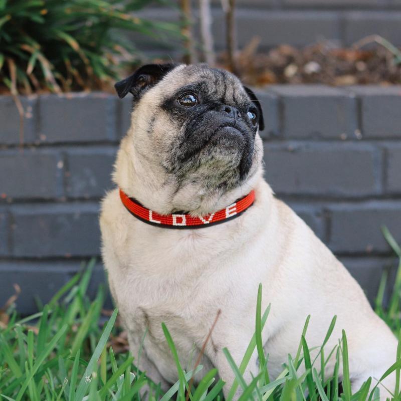 Red Beaded Love Dog Collar - Image 2