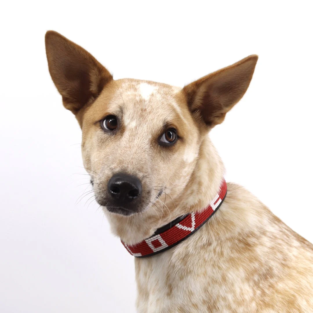 Red Beaded Love Dog Collar - Image 5