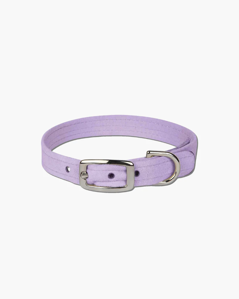 Ultrasuede Small Dog Collar in Black or Lavender (Made in the USA) (FINAL SALE) - Image 2