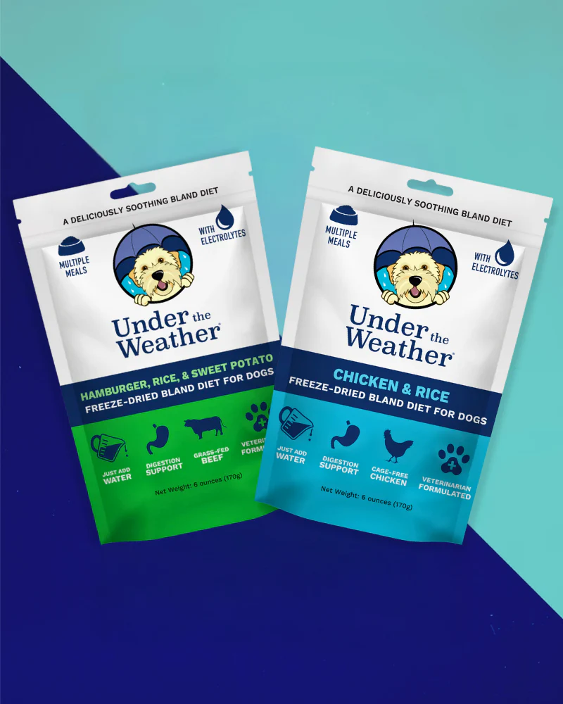 Under the Weather Bland Diet Dog Meal - Image 2