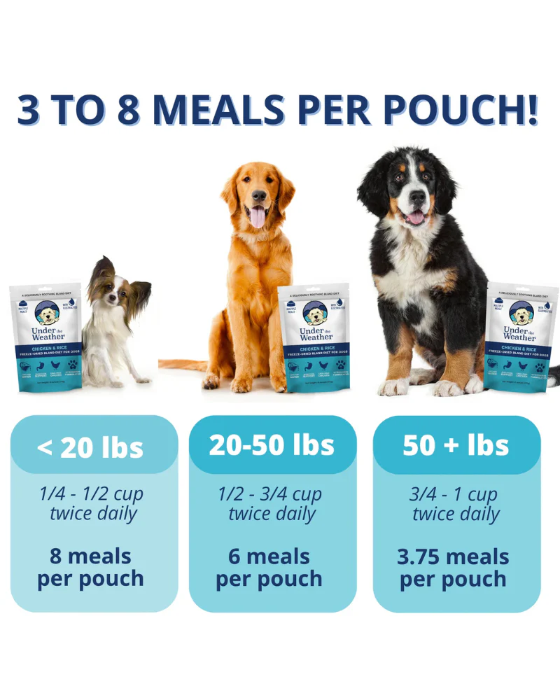 Under the Weather Bland Diet Dog Meal - Image 6