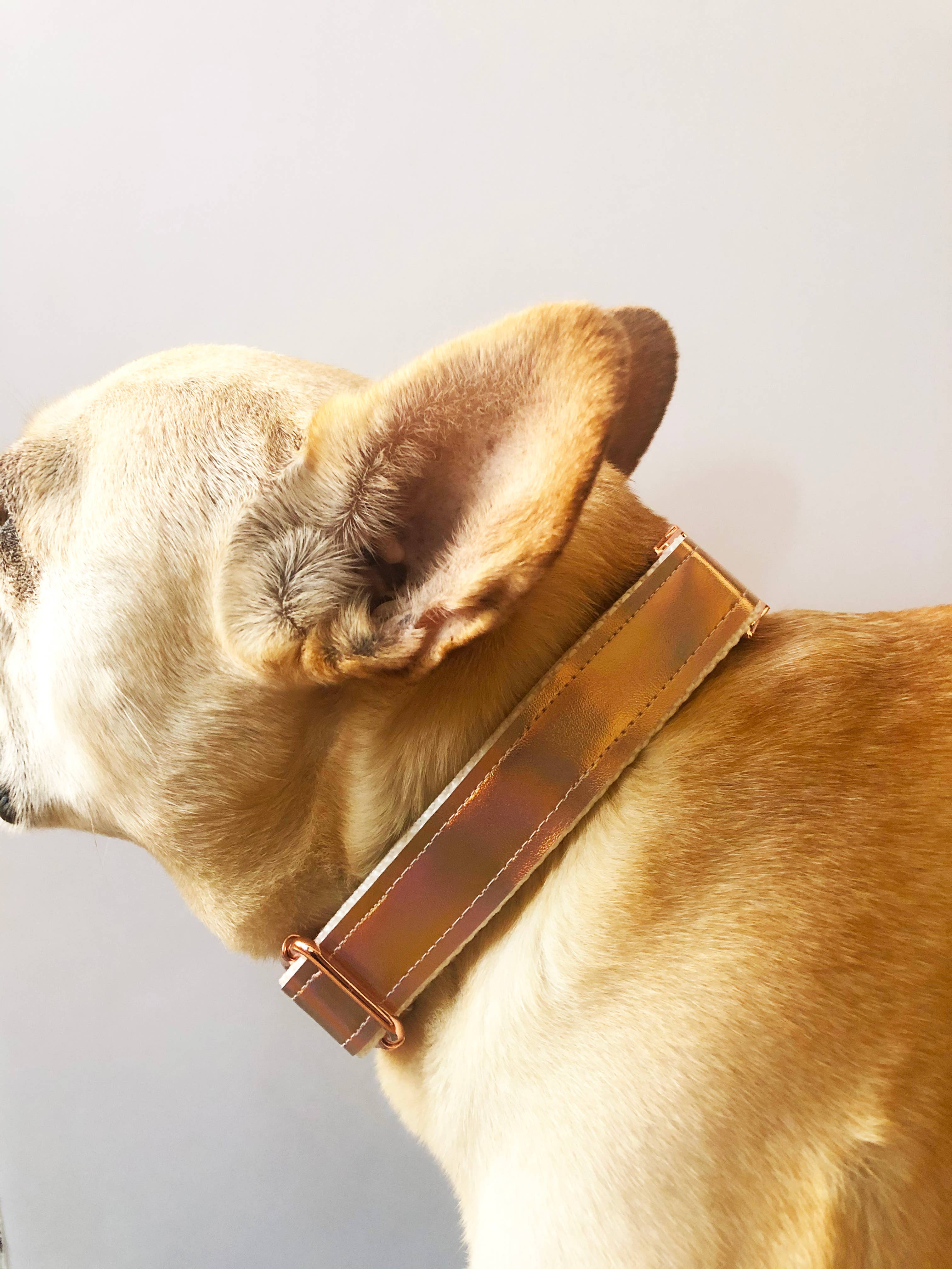 Unicorn Shimmer Vegan Leather Dog Collar (FINAL SALE) - Image 3