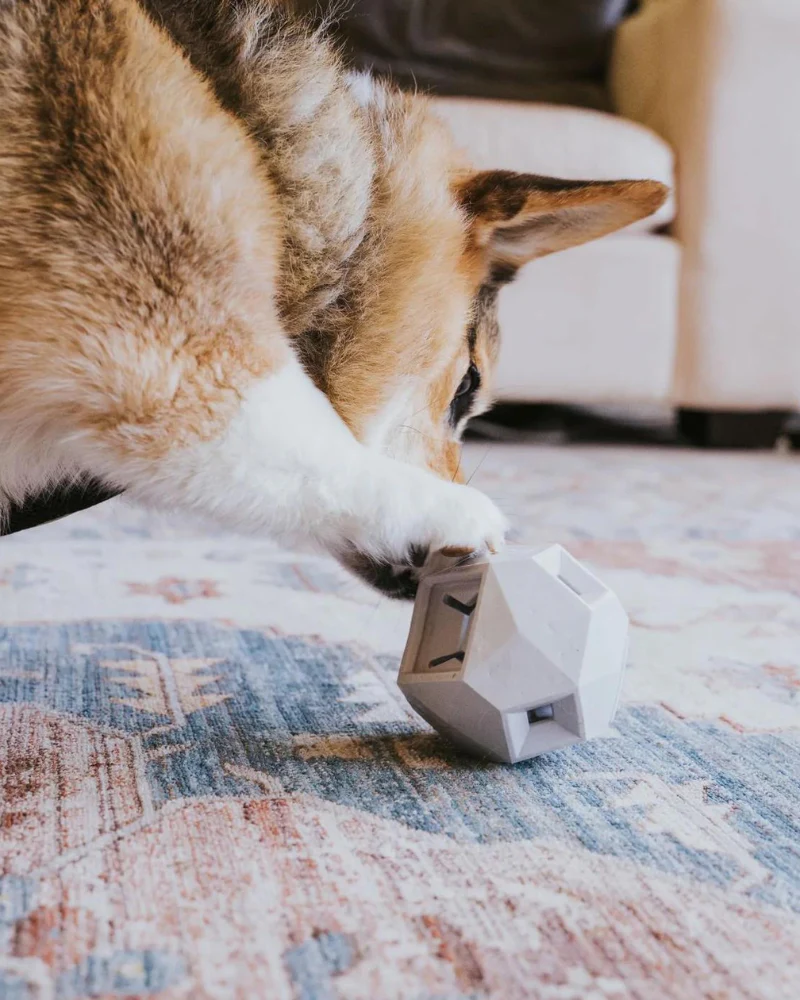 The Odin Interactive Dog Puzzle Toy - Image 4
