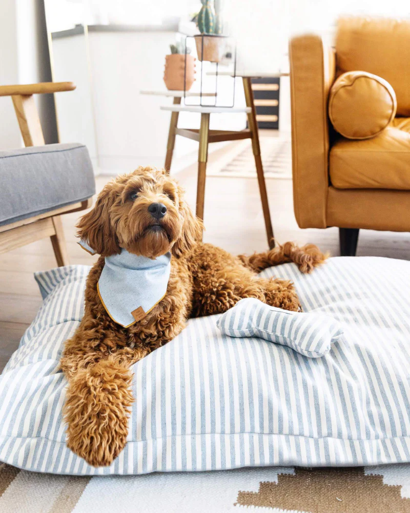 Upcycled Denim Stripe Bone Dog Squeaky Toy<br>(Made in the USA) - Image 2