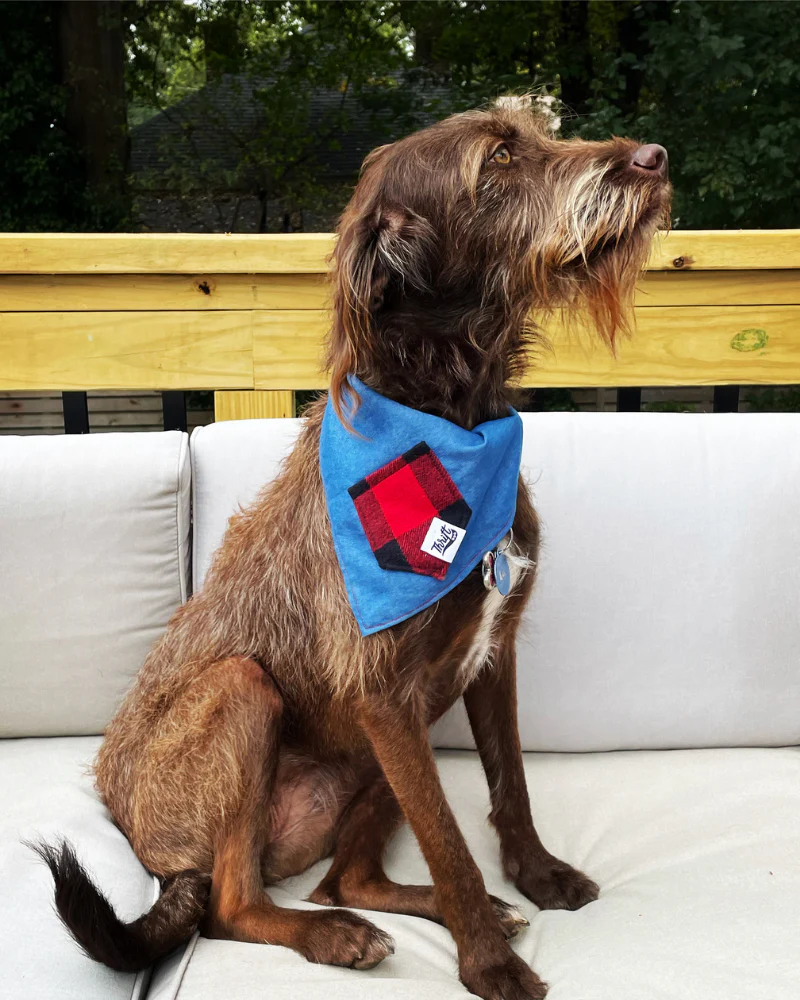 Upcycled Buffalo Plaid Treat Pocket Dog Bandana (Made in the USA)
