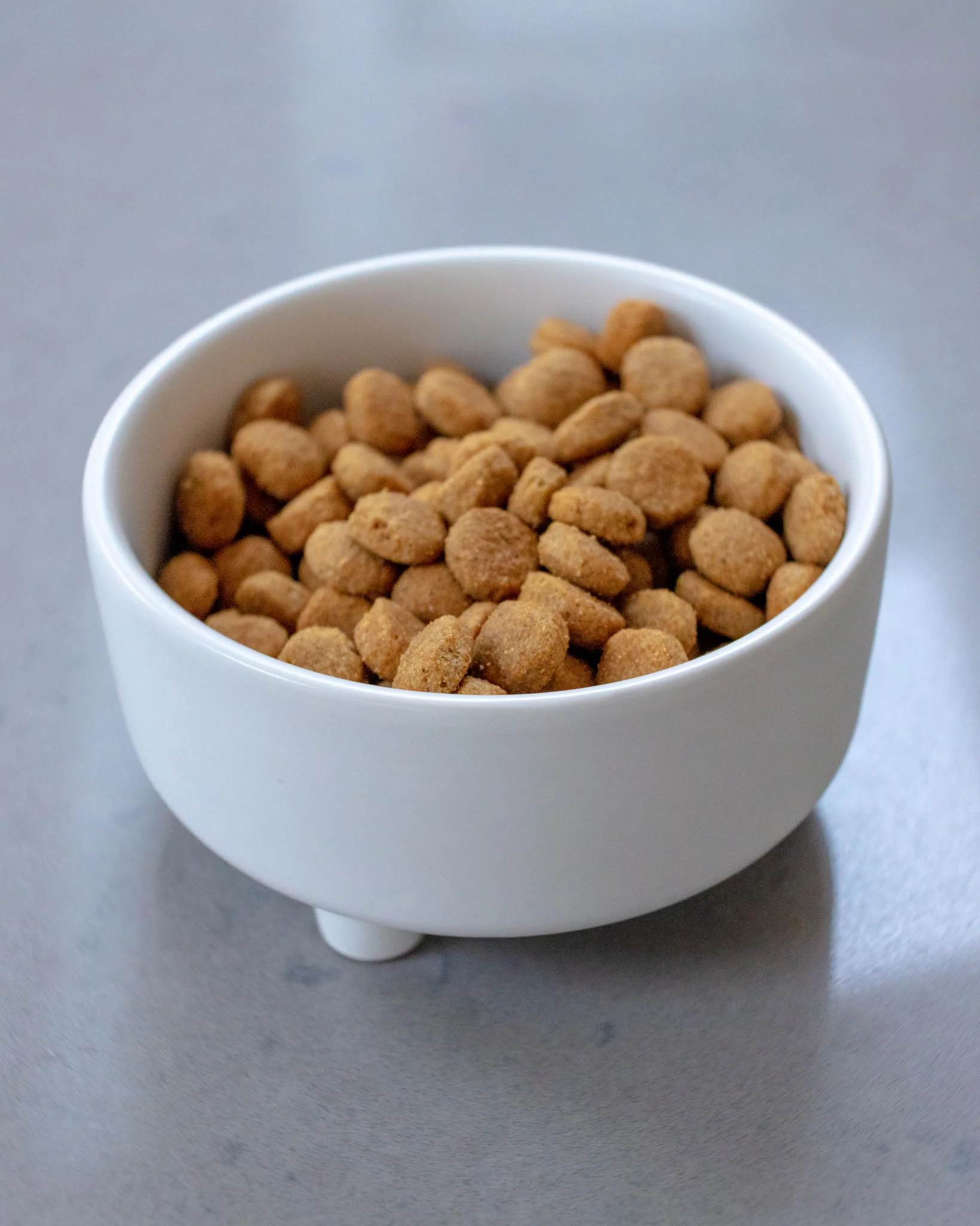 Uplift Ceramic Dog Bowl in White (FINAL SALE)