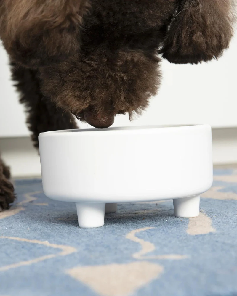 Uplift Ceramic Dog Bowl in White (FINAL SALE) - Image 3