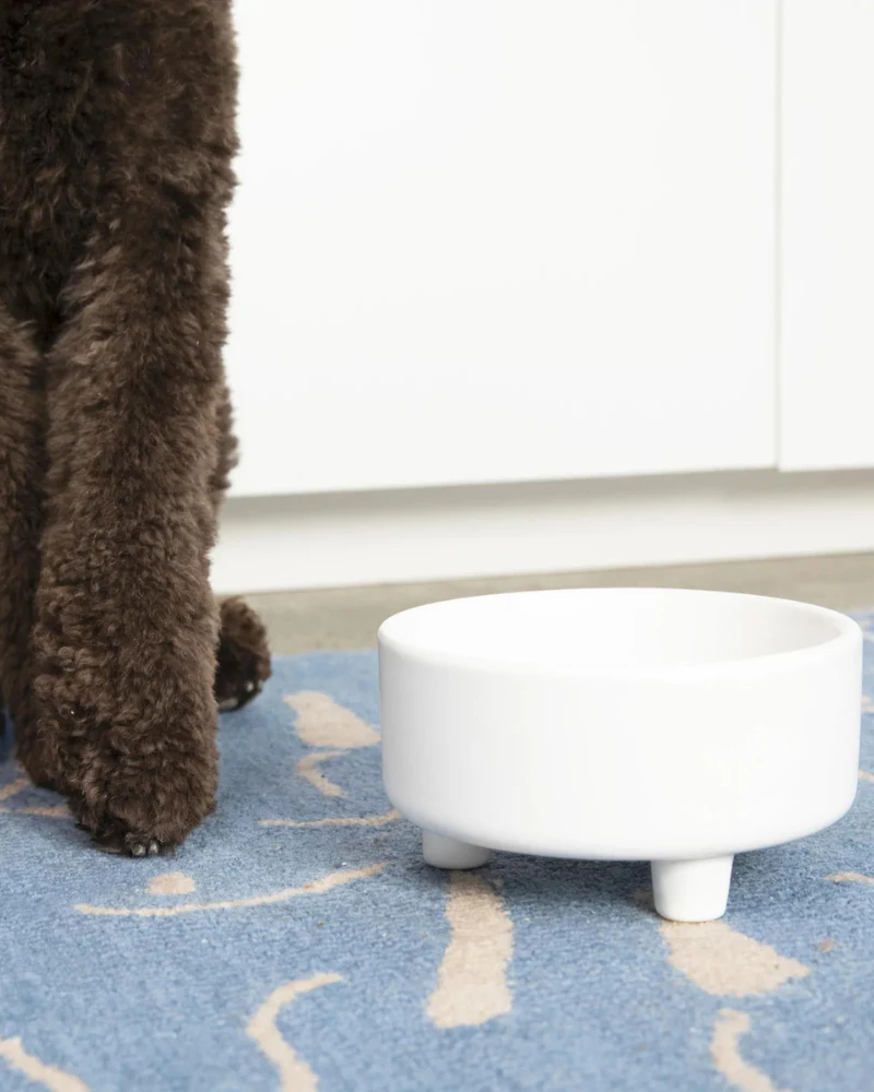 Uplift Ceramic Dog Bowl in White (FINAL SALE) - Image 4