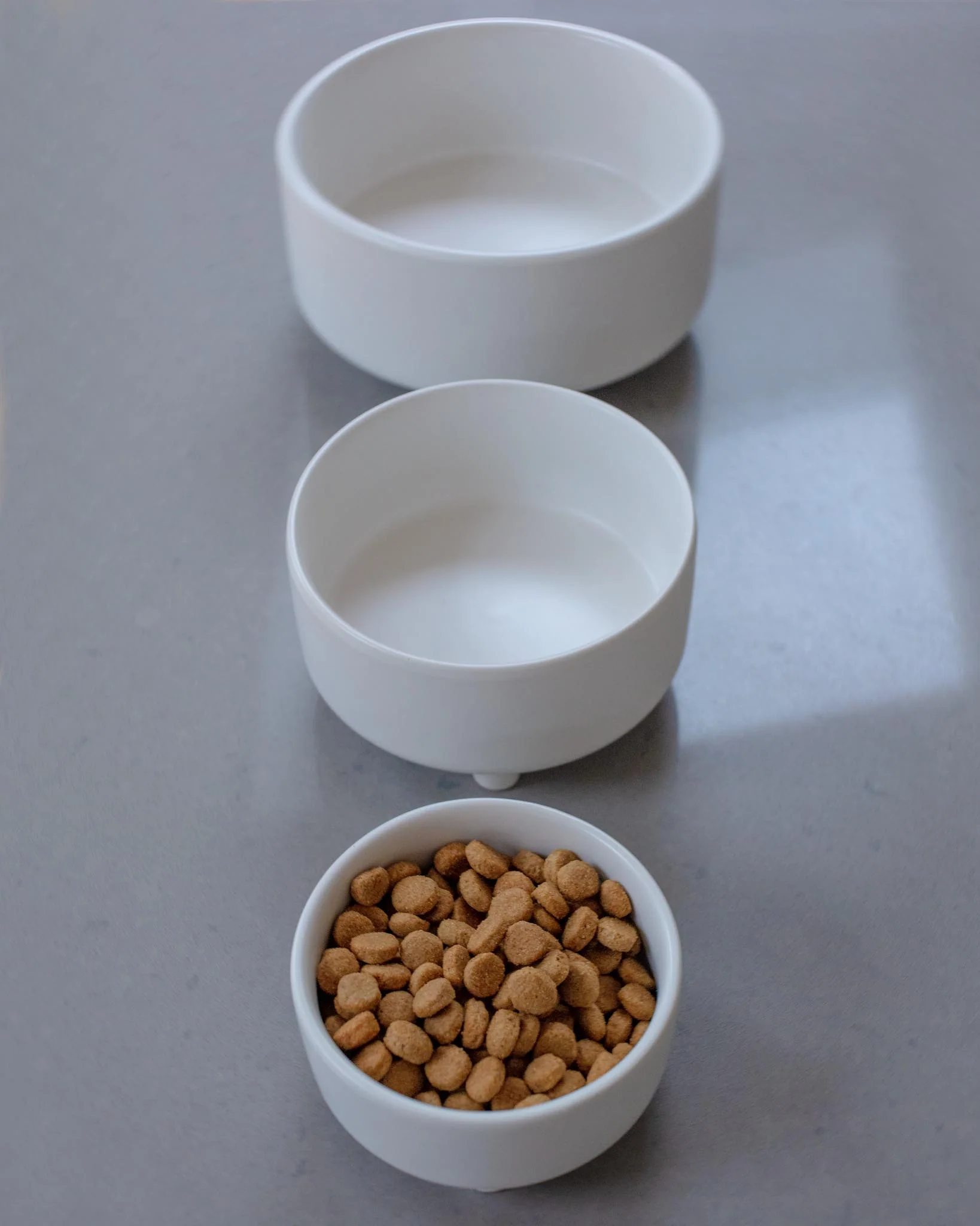 Uplift Ceramic Dog Bowl in White (FINAL SALE) - Image 5