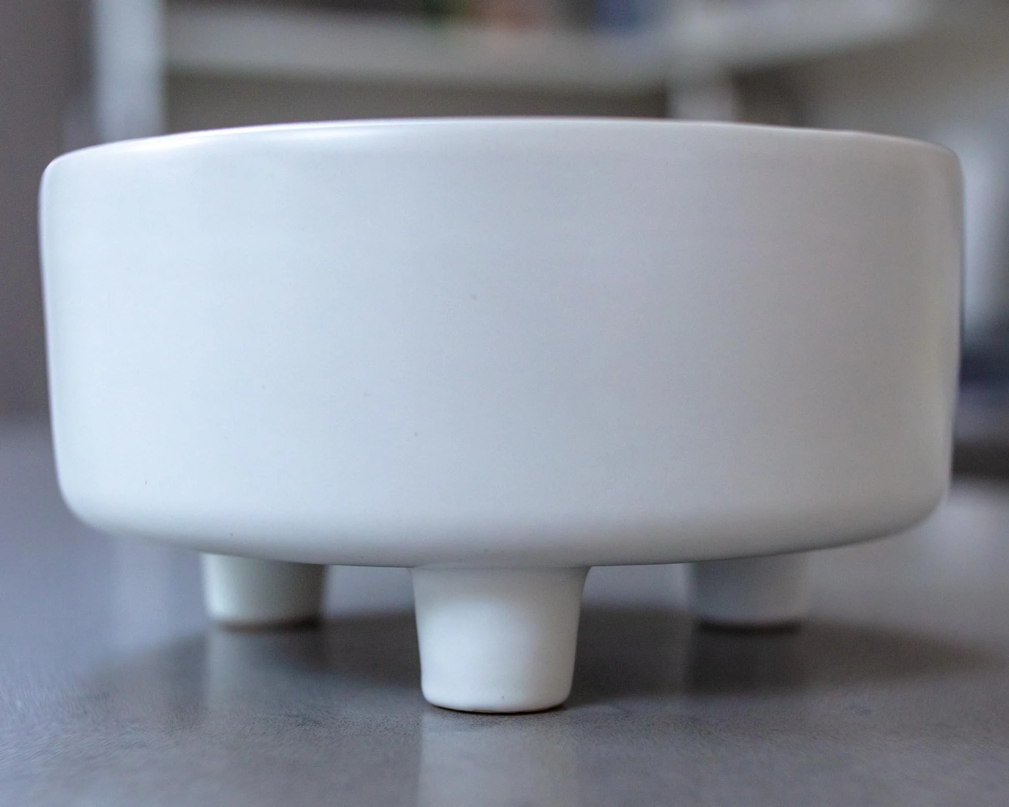 Uplift Ceramic Dog Bowl in White (FINAL SALE) - Image 7