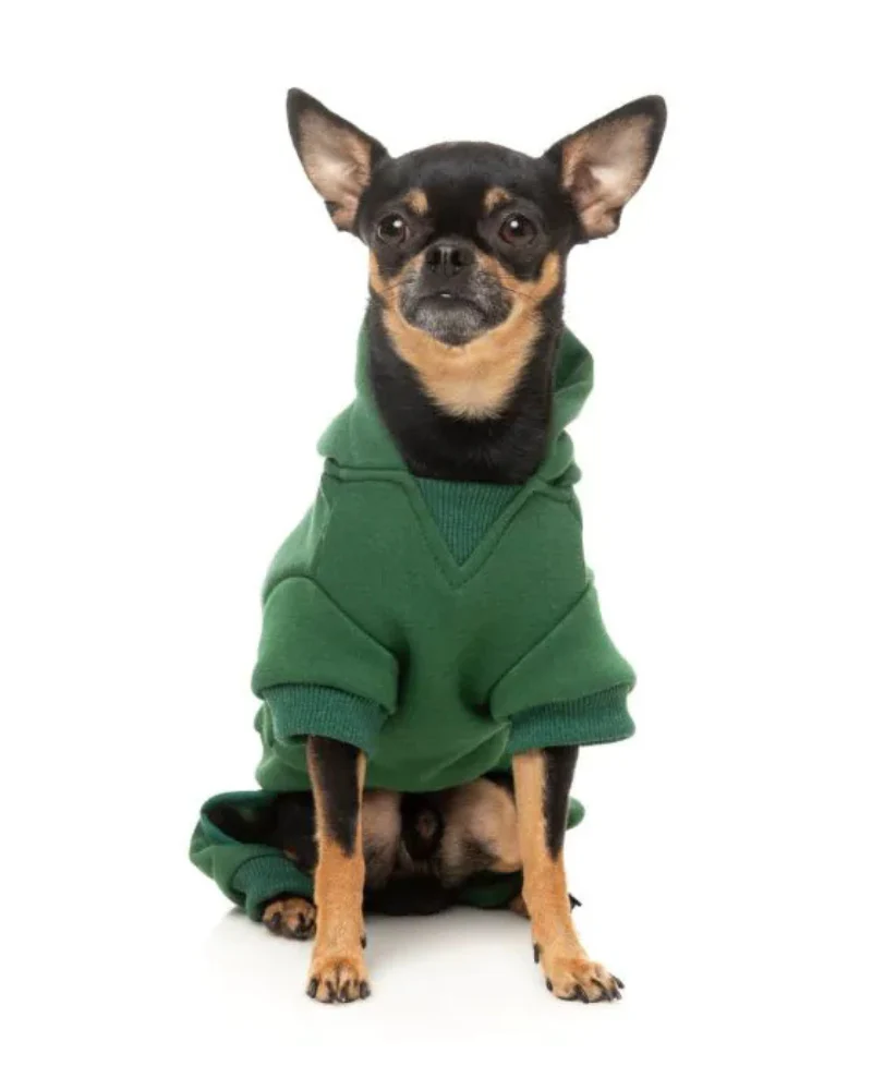 Urban Dog Tracksuit in Green (FINAL SALE) - Image 7
