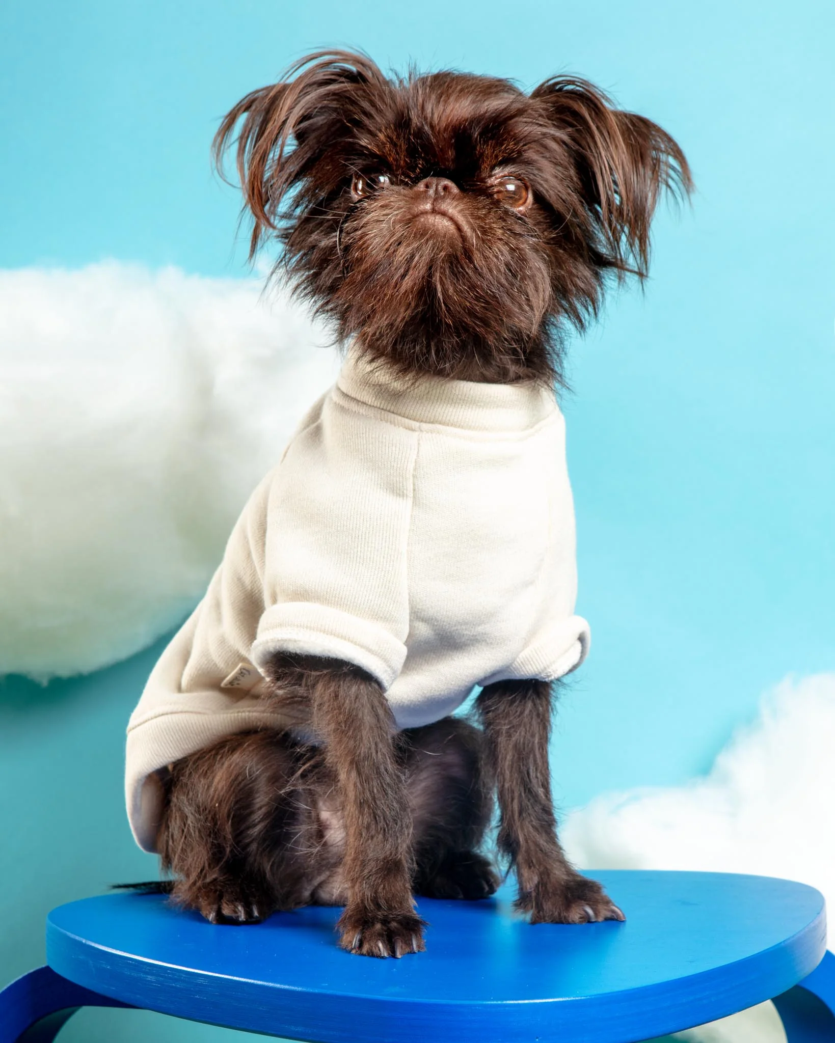 USA Est. 1776 Pet Sweatshirt (FINAL SALE) - Image 2