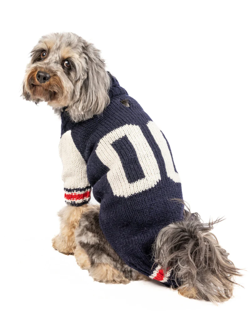 Varsity Wool Dog Sweater (FINAL SALE) - Image 3