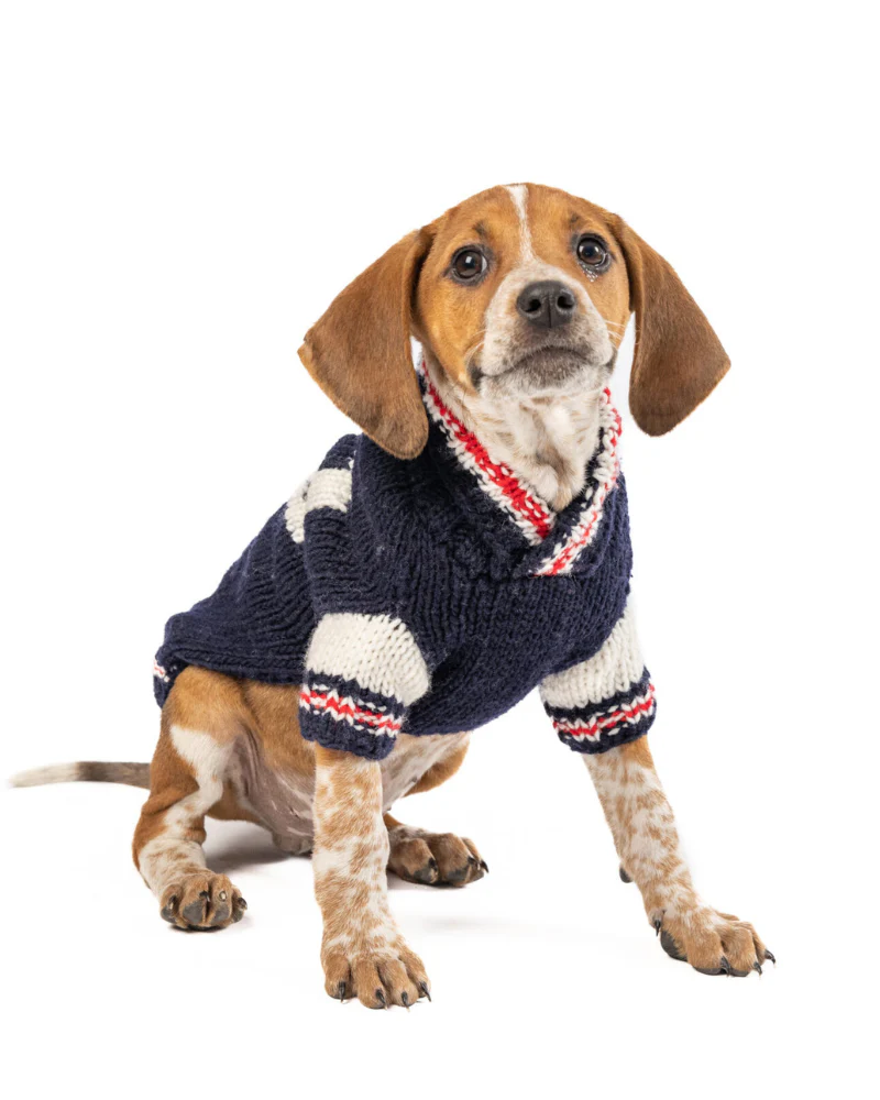 Varsity Wool Dog Sweater (FINAL SALE) - Image 5