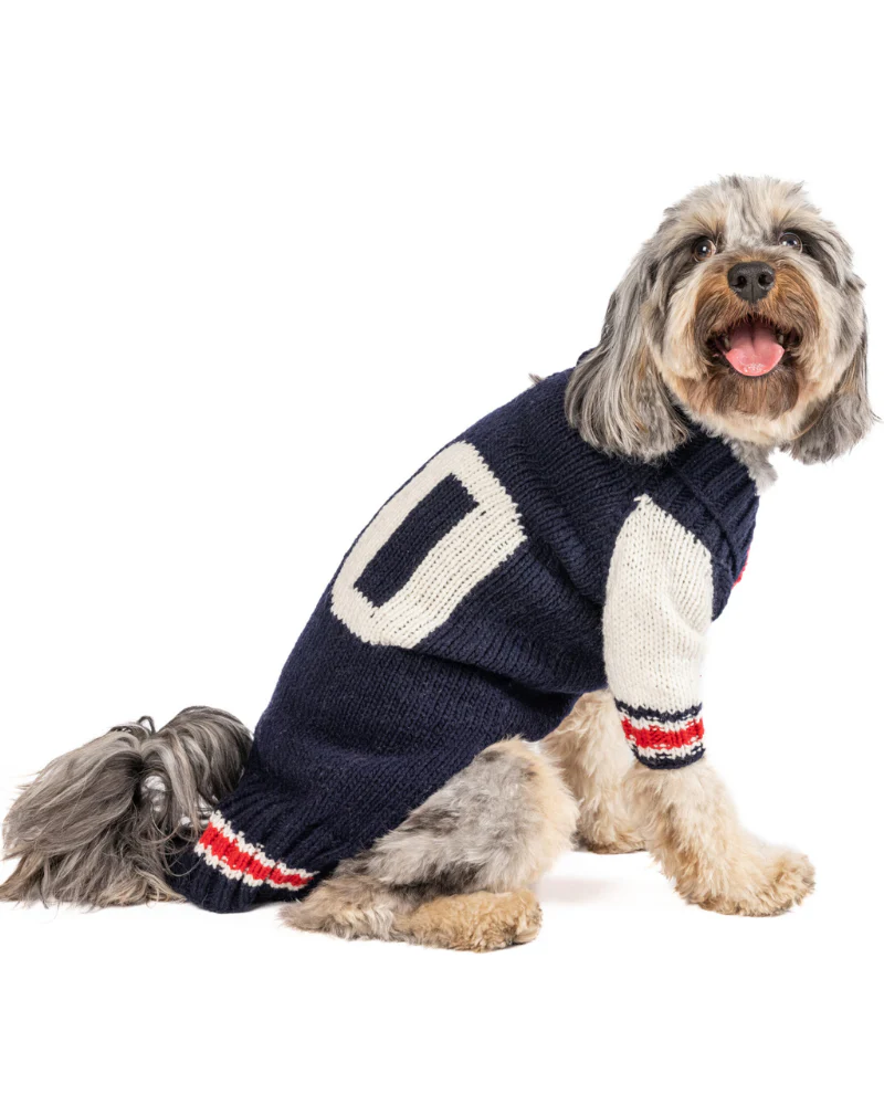 Varsity Wool Dog Sweater (FINAL SALE) - Image 6