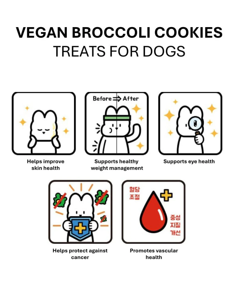 Vegan Broccoli Treats for Dogs - Image 3