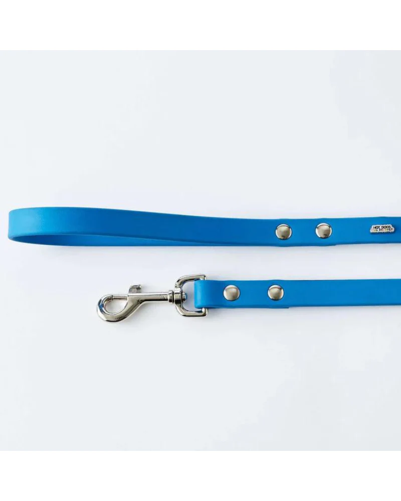 Vegan Leather Dog Leash in Sky Blue (Made in Canada) (FINAL SALE) - Image 3