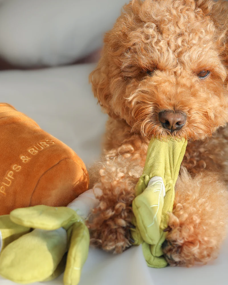 Veggy Garden Nosework Dog Toy (FINAL SALE) - Image 3