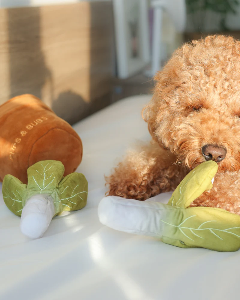 Veggy Garden Nosework Dog Toy (FINAL SALE) - Image 5
