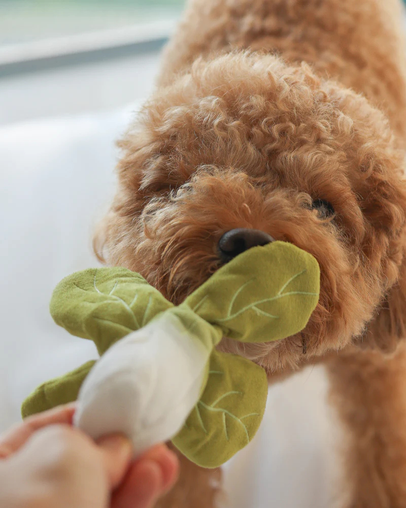 Veggy Garden Nosework Dog Toy (FINAL SALE) - Image 7