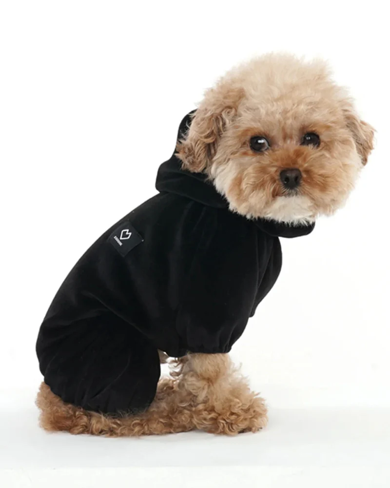 Velour Coverall Onesie for Dogs - Dachshund Fit (in Purple, Ivory, or Black) - Image 5