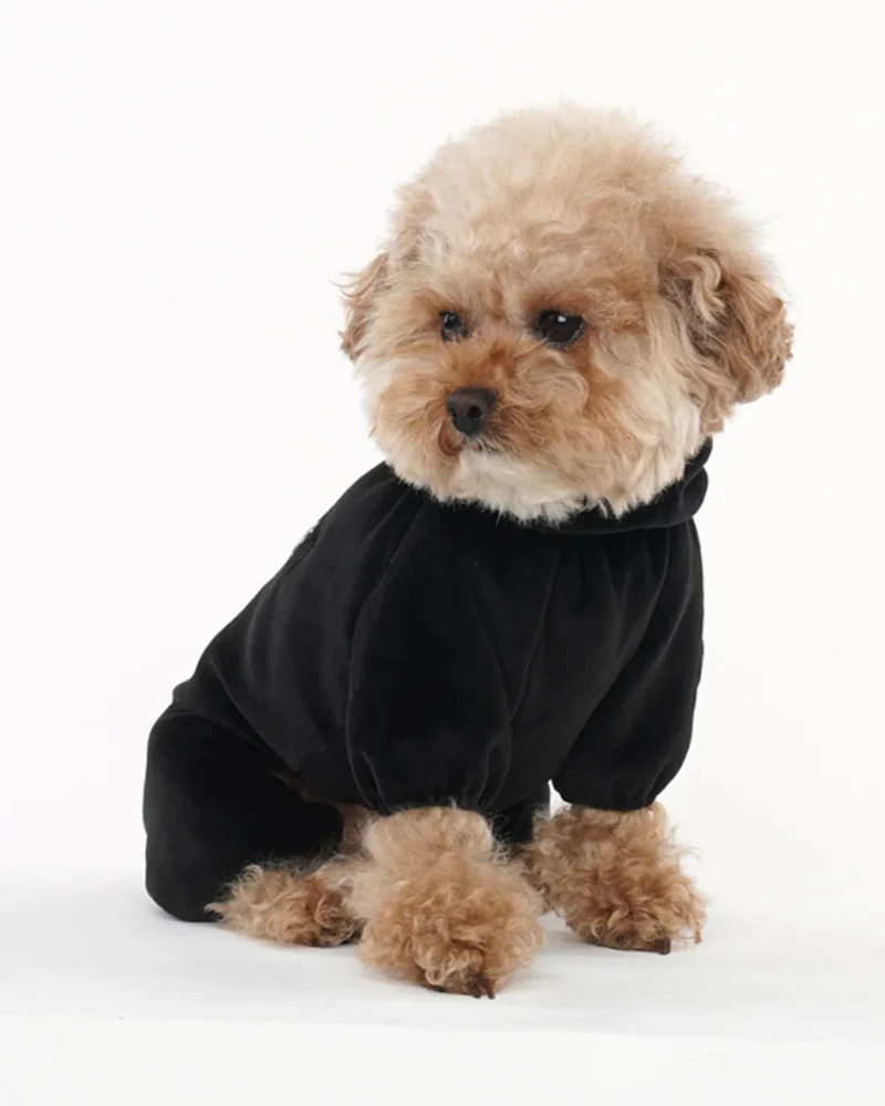Velour Coverall Onesie for Dogs - Dachshund Fit (in Purple, Ivory, or Black) - Image 6