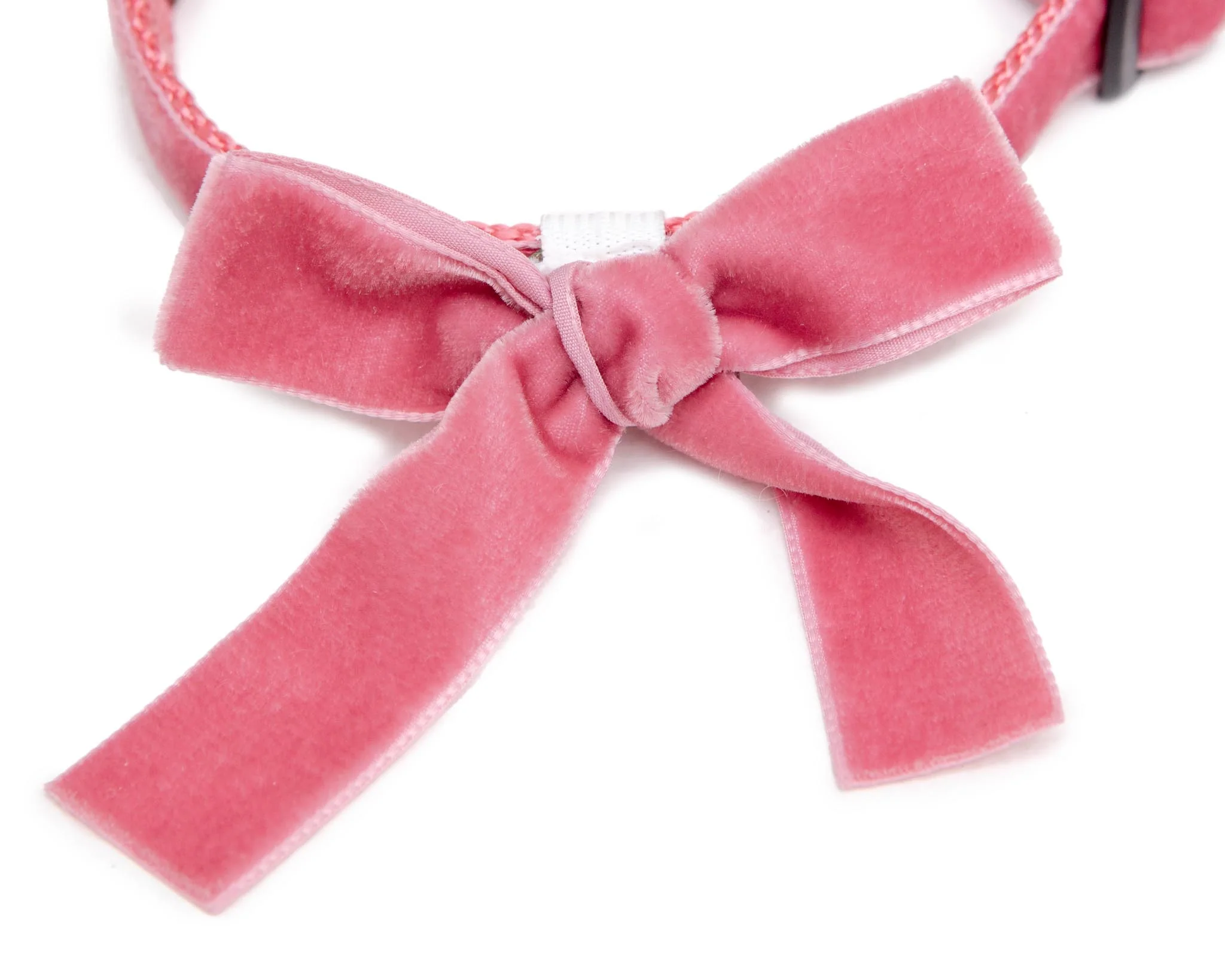 Velvet Dog Bow Collar Set in Primrose Pink (Made in the USA) - Image 3