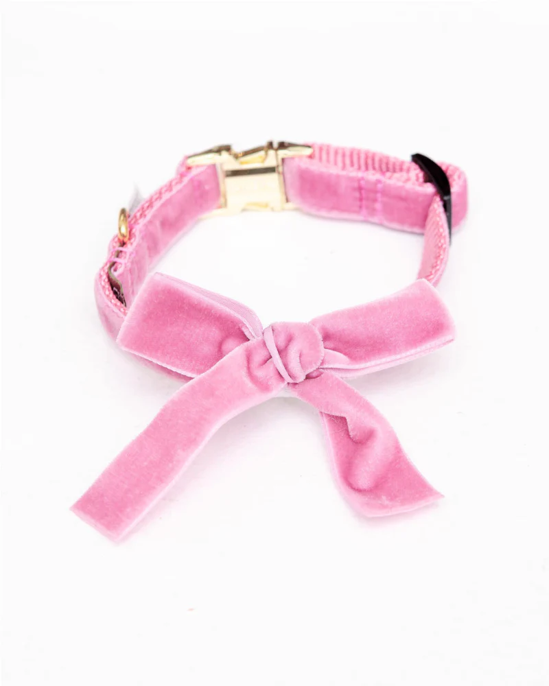 Velvet Dog Bow Collar Set in Petal Pink (Made in the USA)