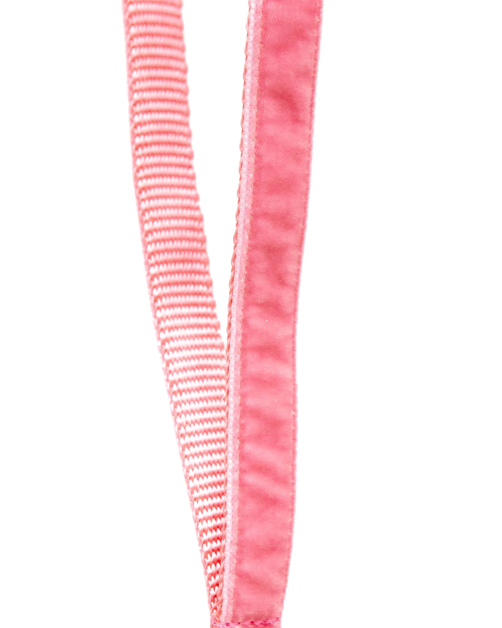 Velvet Dog Leash Primrose Pink (Made in the USA) (FINAL SALE - Image 2