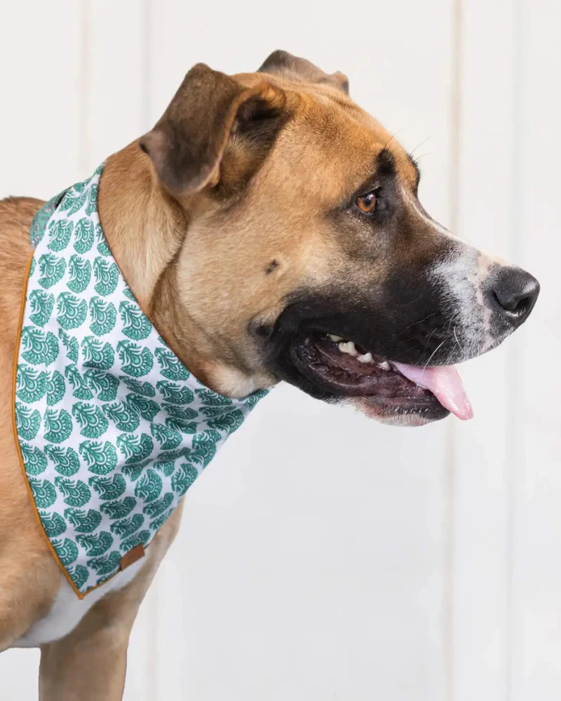 Verde Dog Bandana (FINAL SALE) - Image 3