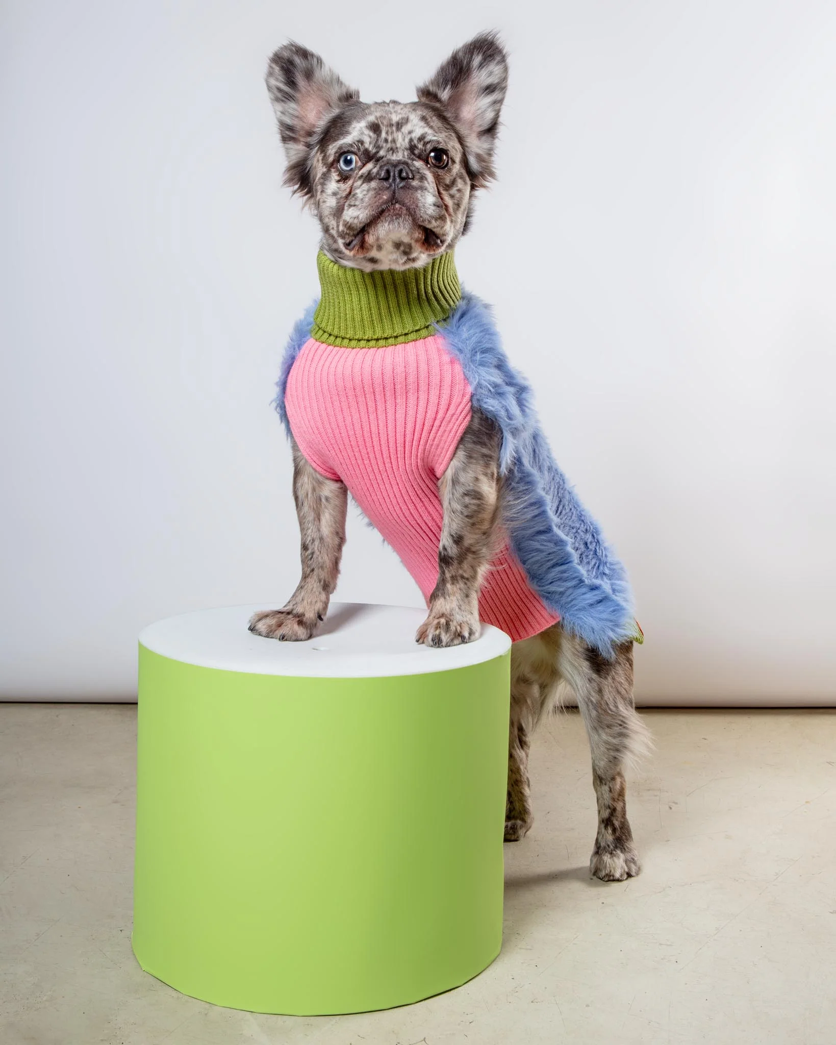 Faux Fur Dog Sweater (FINAL SALE) - Image 2