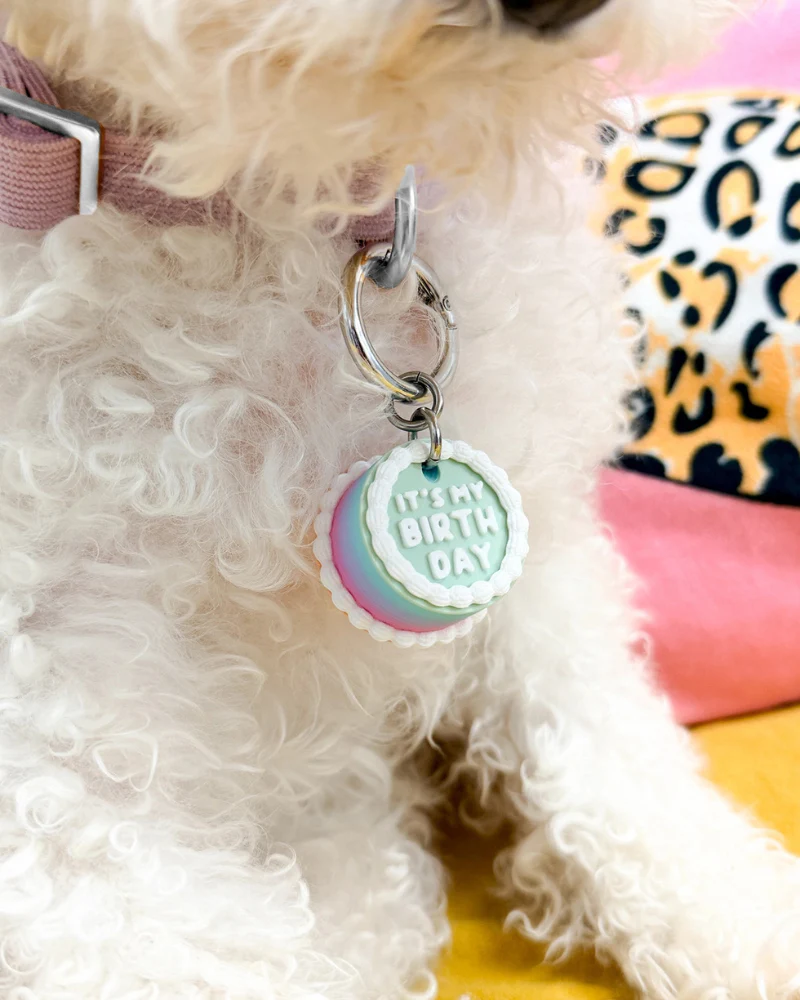 Vintage Birthday Cake Pet Tag - Image 2